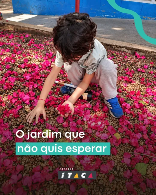 Post do Colégio Ítaca: uma criança, com o rosto coberto pelos cabelos, recolhe pétalas cor-de-rosa no chão, com o título “O jardim que não quis esperar”.